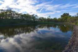 11595 West Farm To Market 2028 (43)