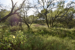 11595 West Farm To Market 2028 (78)