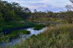 11595 West Farm To Market 2028 (44)