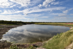 11595 West Farm To Market 2028 (47)