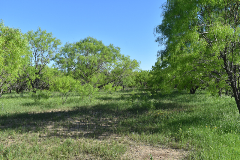 FM 765