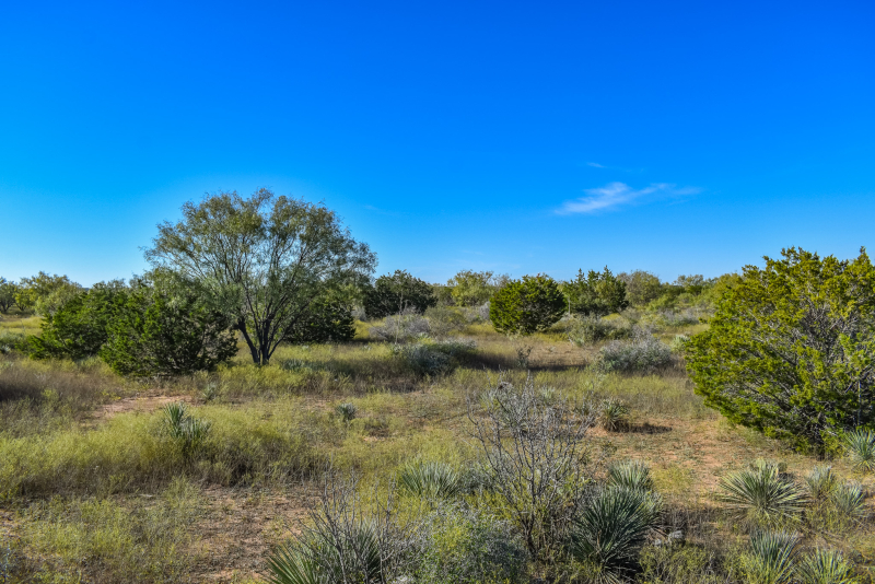 20 Acres off of FM 765 and CR 300