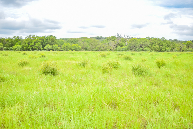 Lot 2 Meadows Ln.